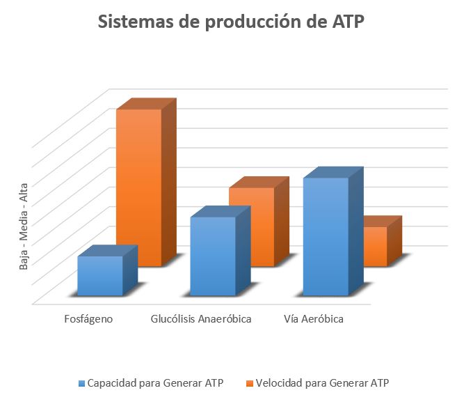 Producción de ATP