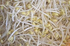 sobre las proteinas para veganos